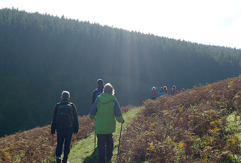 Walking in the Cambrian Mountains