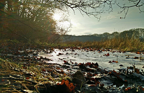 Isle of Wight Forest Church Winter View